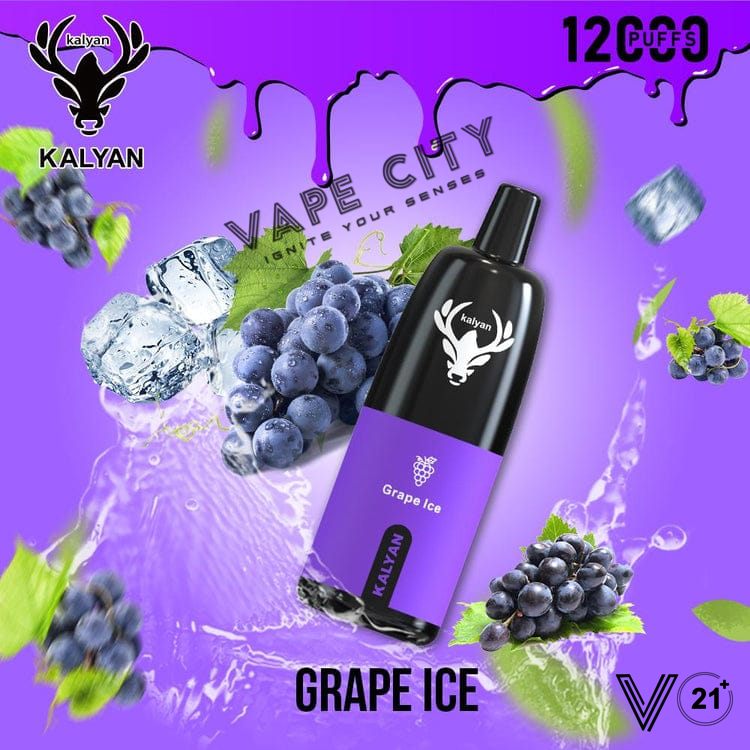 Kalyan Vape Rechargeable Pod - 12000 Puffs Kalyan Vape Rechargeable Pod - 12000 Puffs