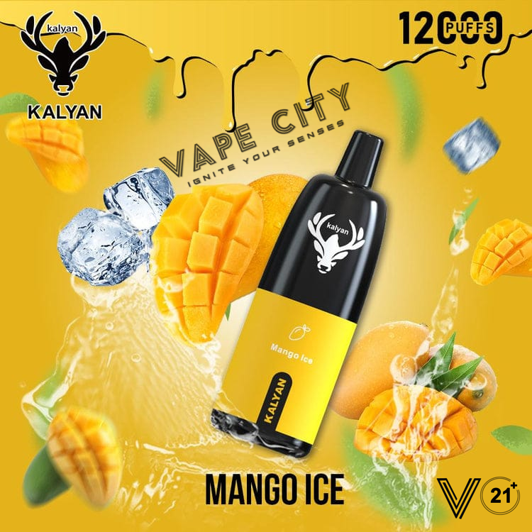 Kalyan Vape Rechargeable Pod - 12000 Puffs Kalyan Vape Rechargeable Pod - 12000 Puffs