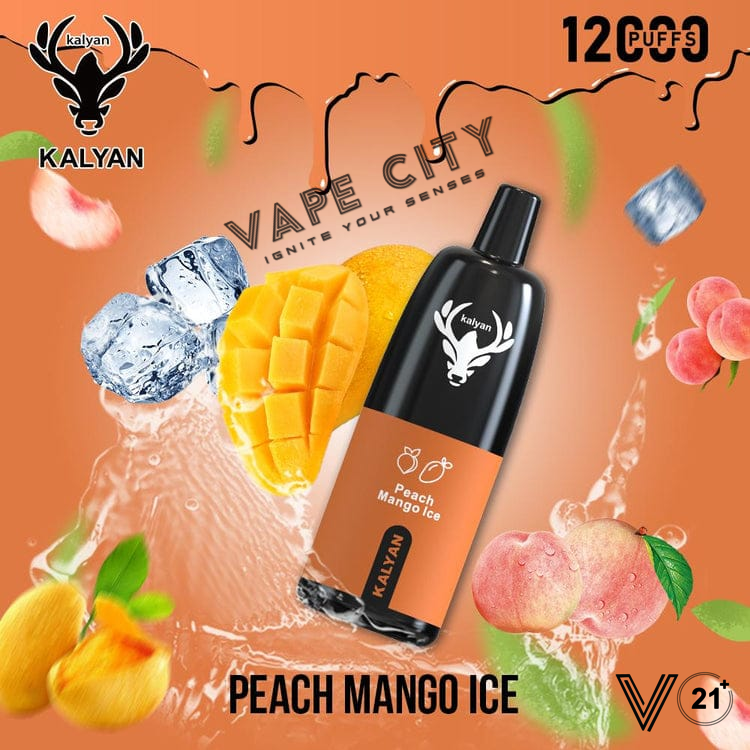 Kalyan Vape Rechargeable Pod - 12000 Puffs Kalyan Vape Rechargeable Pod - 12000 Puffs