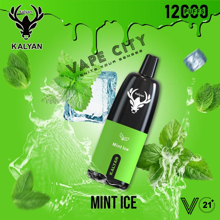 Kalyan Vape Rechargeable Pod - 12000 Puffs Kalyan Vape Rechargeable Pod - 12000 Puffs