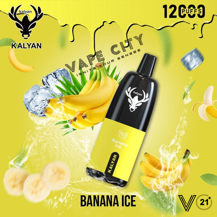 Kalyan Vape Rechargeable Pod - 12000 Puffs Kalyan Vape Rechargeable Pod - 12000 Puffs