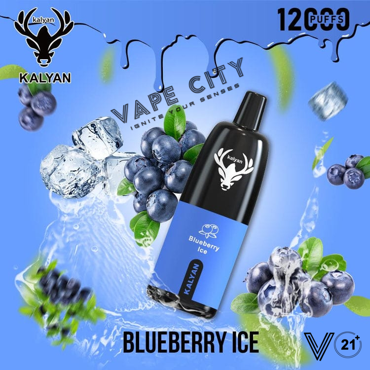 Kalyan Vape Rechargeable Pod - 12000 Puffs Kalyan Vape Rechargeable Pod - 12000 Puffs